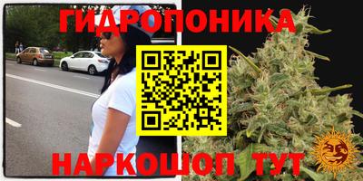 МДПВ Заволжье