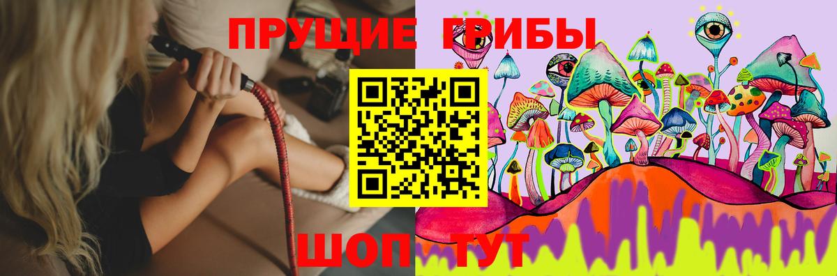 Псилоцибиновые грибы Cubensis  Вход с VPN  Минеральные Воды 